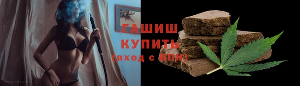 гашик Алексеевка