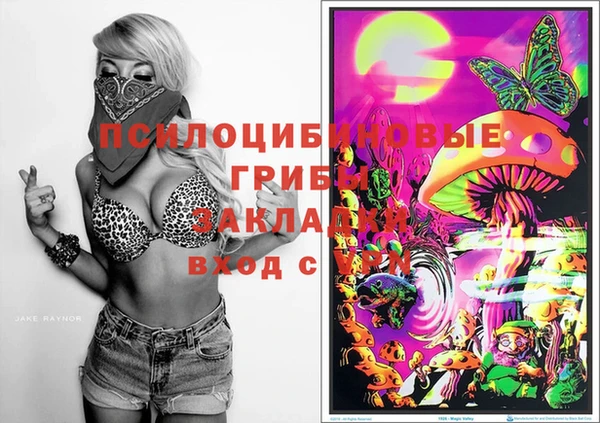 не бодяженный Алзамай