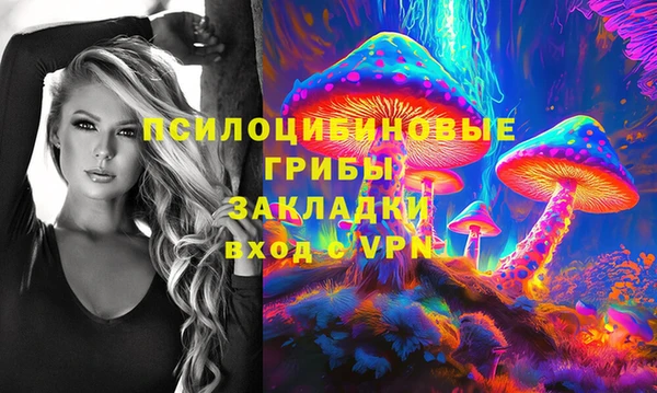 гашик Алексеевка