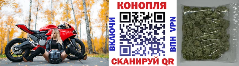 Бошки марихуана сатива  Дмитров 
