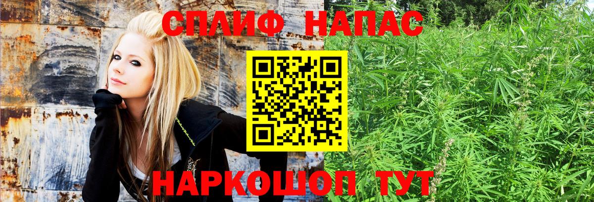 Бошки марихуана OG Kush  Канабис план  МАРИХУАНА MAZAR  Вход с VPN  Шишки марихуана VHQ  Дмитров 